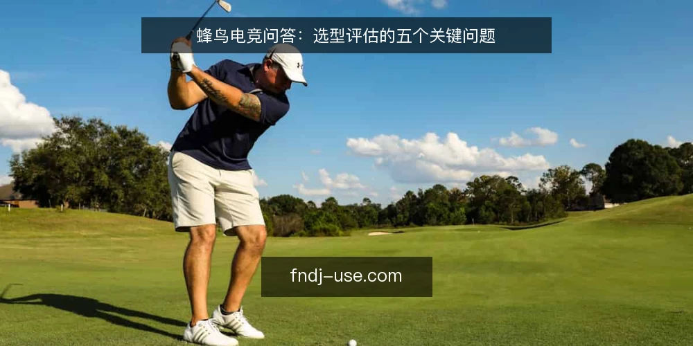 蜂鸟电竞问答:选型评估的五个关键问题 — 蜂鸟电竞的选型需求如何定义? 配图