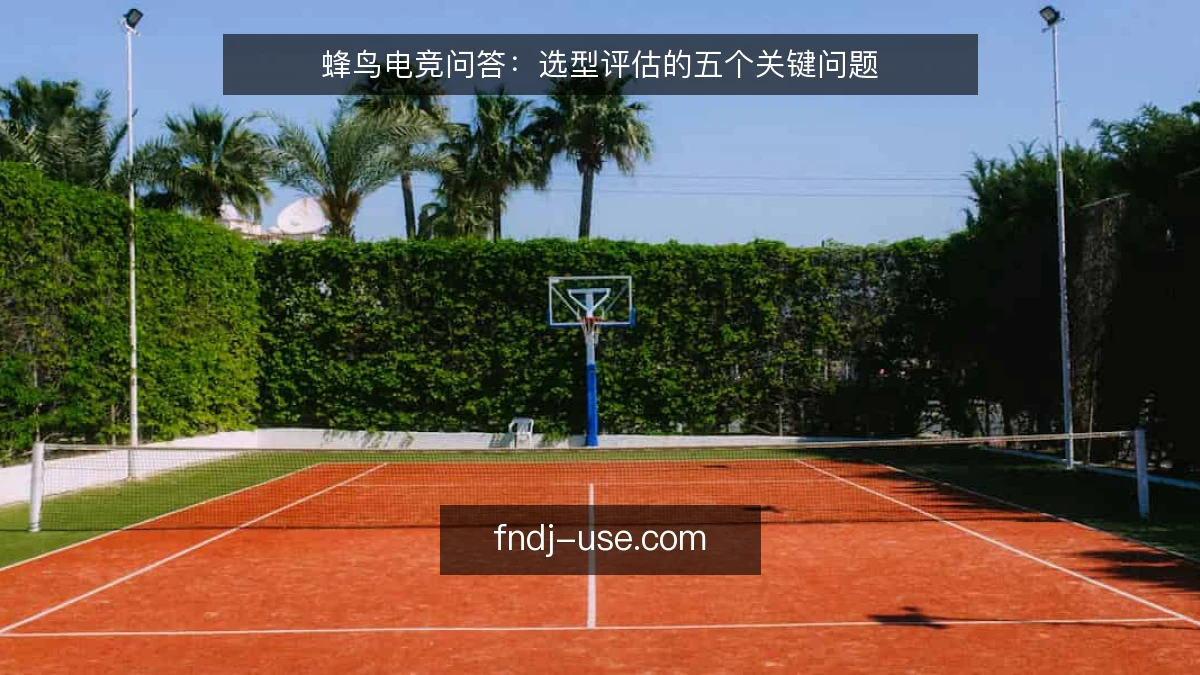 蜂鸟电竞问答：选型评估的五个关键问题