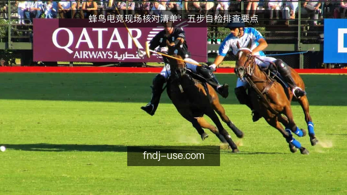 蜂鸟电竞现场核对清单：五步自检排查要点