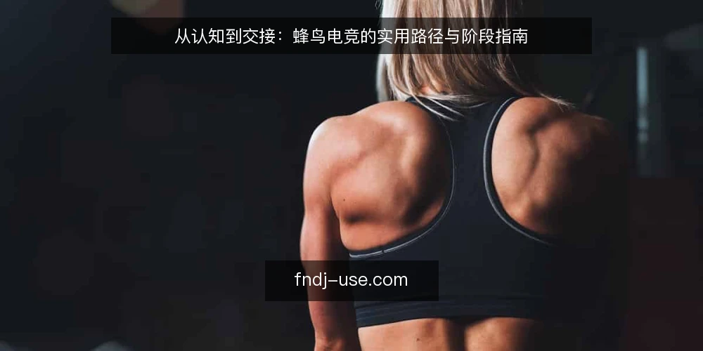 从认知到交接：蜂鸟电竞的实用路径与阶段指南 — 起点：明确需求与认知基线 配图