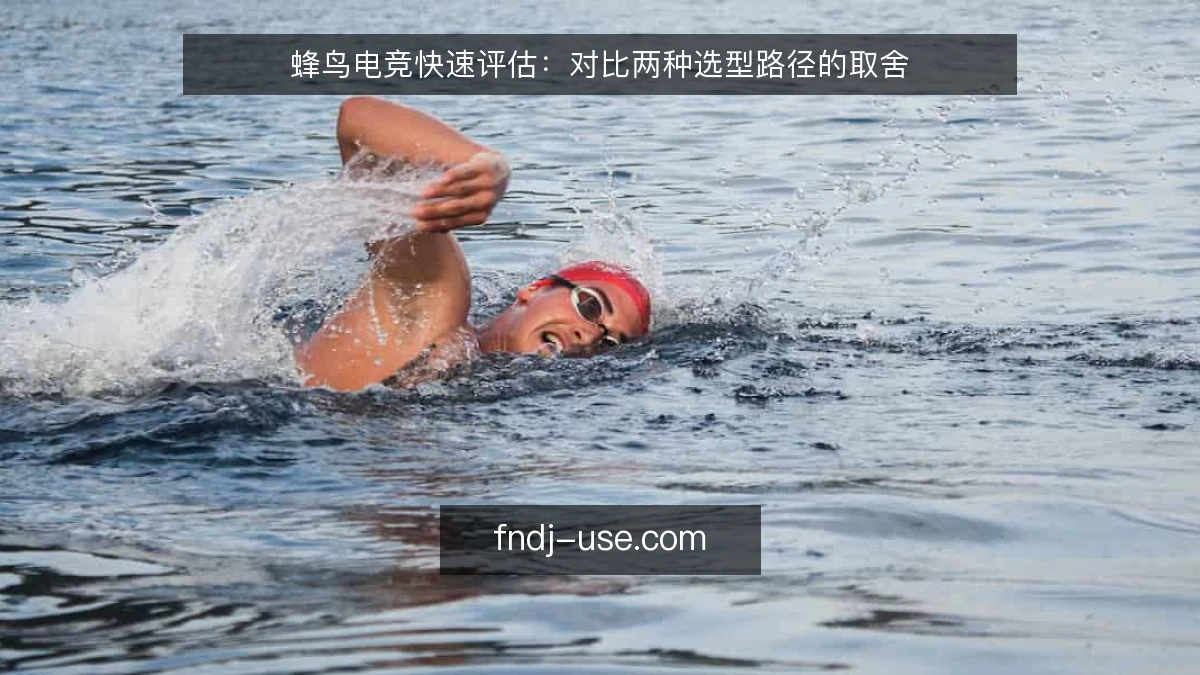 蜂鸟电竞快速评估：对比两种选型路径的取舍