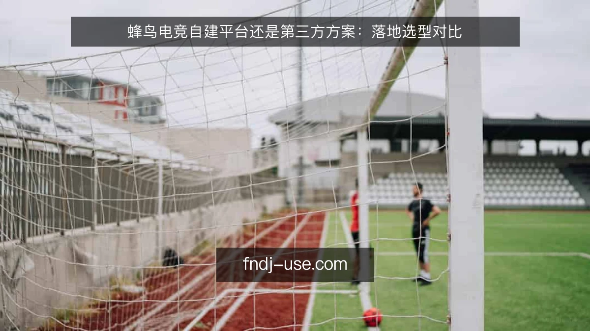 蜂鸟电竞自建平台还是第三方方案：落地选型对比