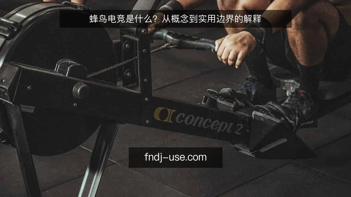 蜂鸟电竞是什么？从概念到实用边界的解释