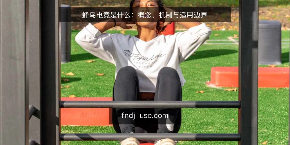 蜂鸟电竞是什么：概念、机制与适用边界 — 蜂鸟电竞是什么：定义与核心概念 配图