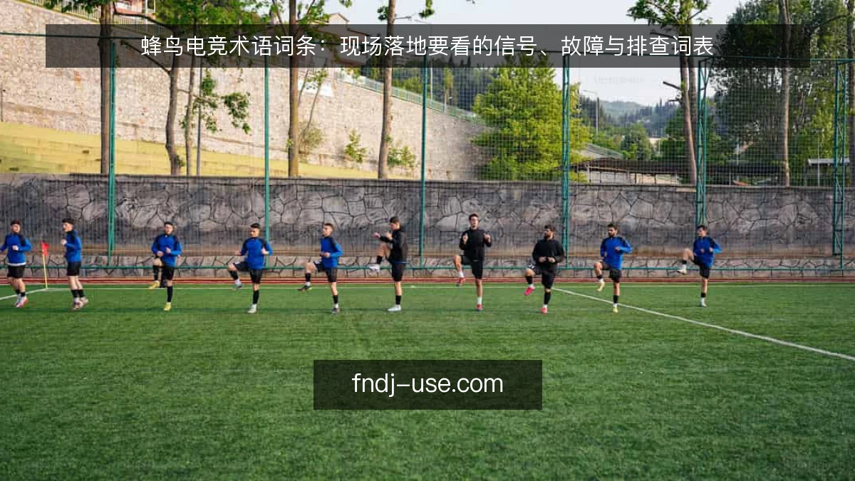 蜂鸟电竞术语词条：现场落地要看的信号、故障与排查词表