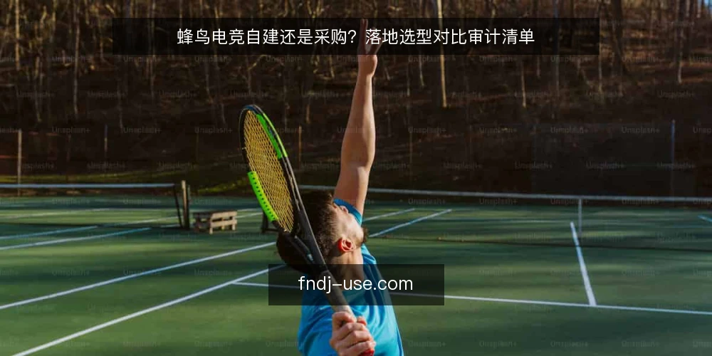 蜂鸟电竞自建还是采购?落地选型对比审计清单 — 为什么现在做落地选型审计 配图