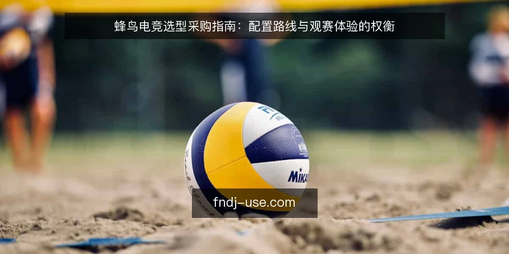 蜂鸟电竞选型采购指南：配置路线与观赛体验的权衡 — 先定选型标准：观赛体验的必备与可选 配图