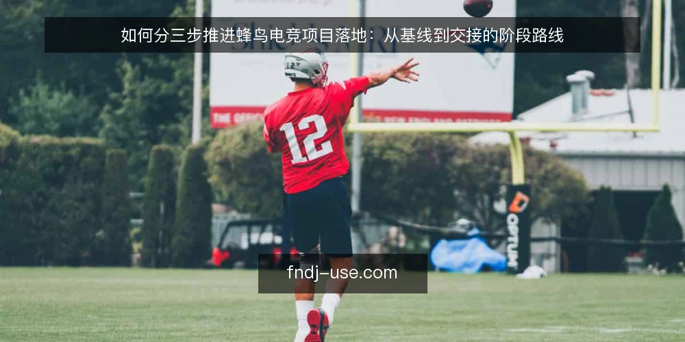 如何分三步推进蜂鸟电竞项目落地:从基线到交接的阶段路线 — 先摸清现状基线 配图